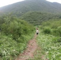 "Dijo que se rompió el auto": jujeña denuncia que un remisero abusó de ella