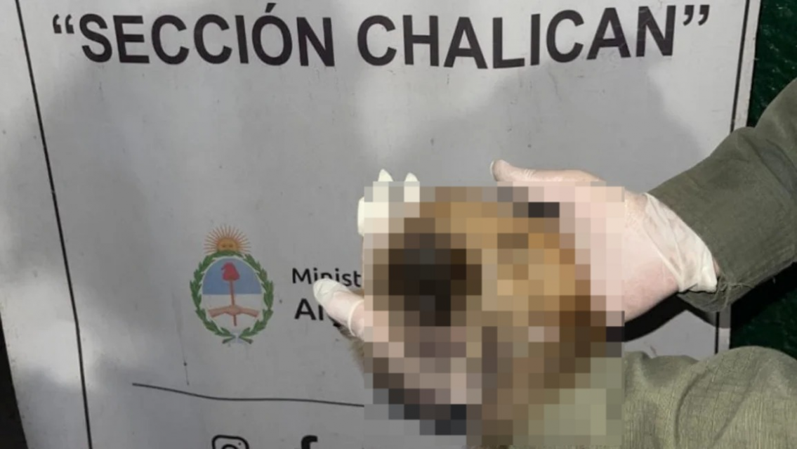 "Estaba vivo": venían de Bolivia, tenían esta criatura y no pasaron el control