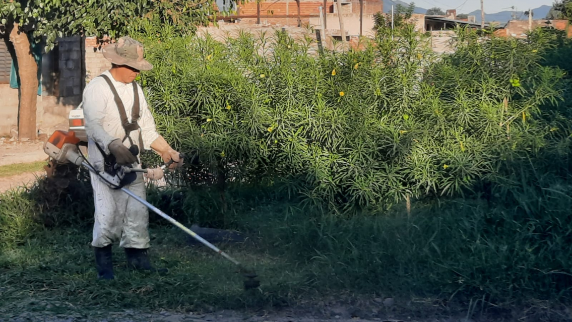 Respuesta de los vecinos ante la inacci�n de los pol�ticos