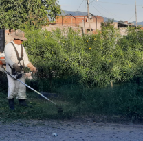 Respuesta de los vecinos ante la inacción de los políticos