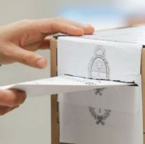 ¿Adiós a las PASO? El proyecto recibe media sanción en Diputados