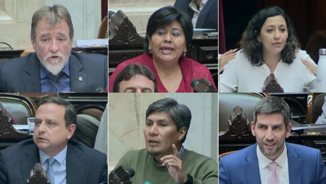 Diputados aprobaron la suspensión de las PASO: así votaron los legisladores de Jujuy