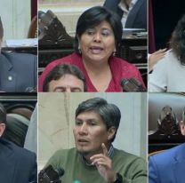 Diputados aprobaron la suspensión de las PASO: así votaron los legisladores de Jujuy