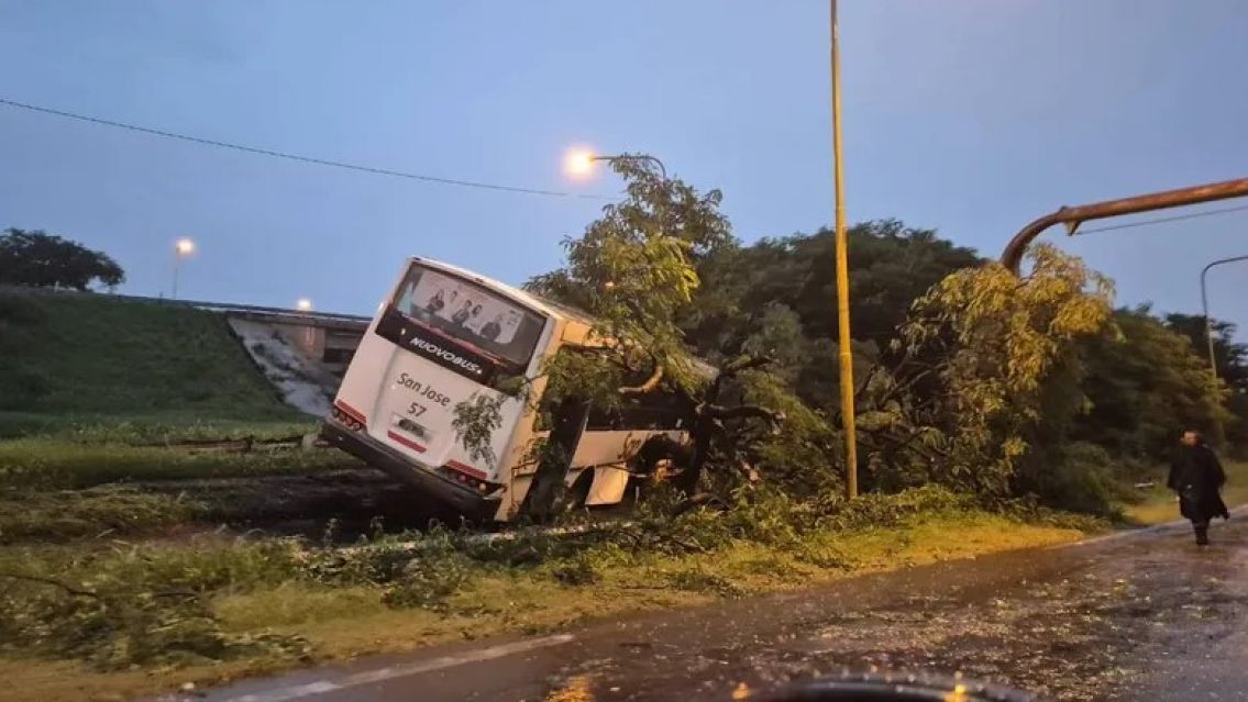 Terrible choque en la ruta 9: un colectivo dio de frente contra un �rbol