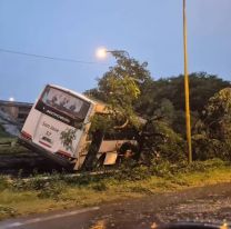 Terrible choque en la ruta 9: un colectivo dio de frente contra un árbol