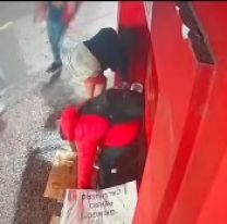 Una parejita de jujeños le robó el colchón a un perrito callejero