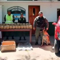 Chalicán: el control más temido por los narcos, todo saltó por la modelo con droga