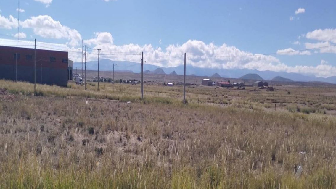 Confirman que el juje�o asesinado solo ten�a hojas de coca que llevaba a su pueblo