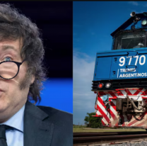 El Gobierno decretó la privatización total de Belgrano Cargas y Logística S.A.