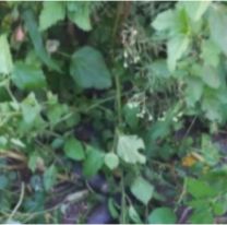 Mataron a un norteñito tras una terrible discusión: tenía 13 años