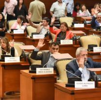 Los legisladores jujeños volverán a trabajar el 24 de febrero