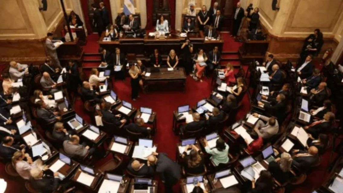 Se terminó otro curro: Aprobaron en el senado la eliminación de las PASO