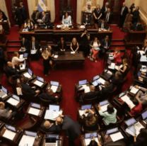 Se terminó otro curro: Aprobaron en el senado la eliminación de las PASO