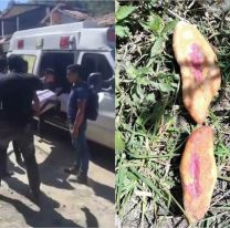 Tres nenas murieron tras comer pan envenenado: "Lo habían dejado para los perros"