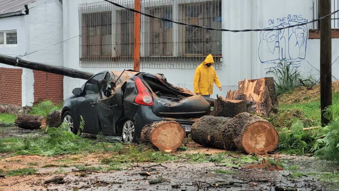 Temporal en Jujuy: un �rbol aplast� un auto en el barrio Santa Rosa