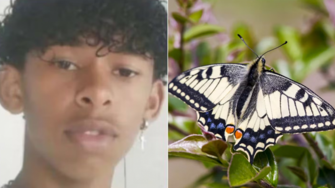 La práctica de la muerte a base de mariposa que está "de moda" entre los jóvenes