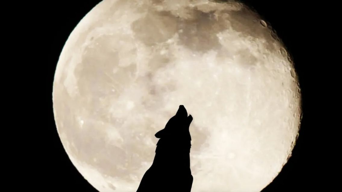 Cu�les son los signos que se cargar�n de energ�a con esta luna llena