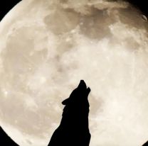 Cuáles son los signos que se cargarán de energía con esta luna llena