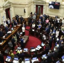 Afuera: El senado convirtió en Ley la eliminación de las PASO