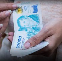 ANSES paga un extra de hasta $290 mil: ¿Quiénes lo cobran?