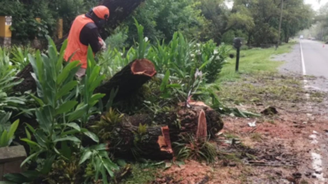 Temporal en Jujuy: afect� gravemente a Yala