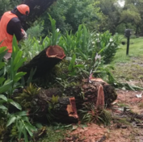 Temporal en Jujuy: afectó gravemente a Yala