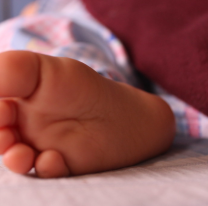 El dolor es insoportable: bebé de 1 año murió atacado por el perro familiar