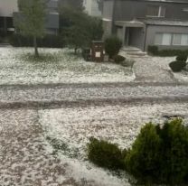 Brutal temporal de granizo generó destrozos en Mar del Plata