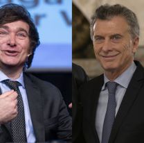 Suspensión de las PASO: el PRO empieza a tomar distancia de La Libertad Avanza