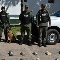16 kilos de coca&iacute;na en Libertador Gral. San Mart&iacute;n, detuvieron a un hombre