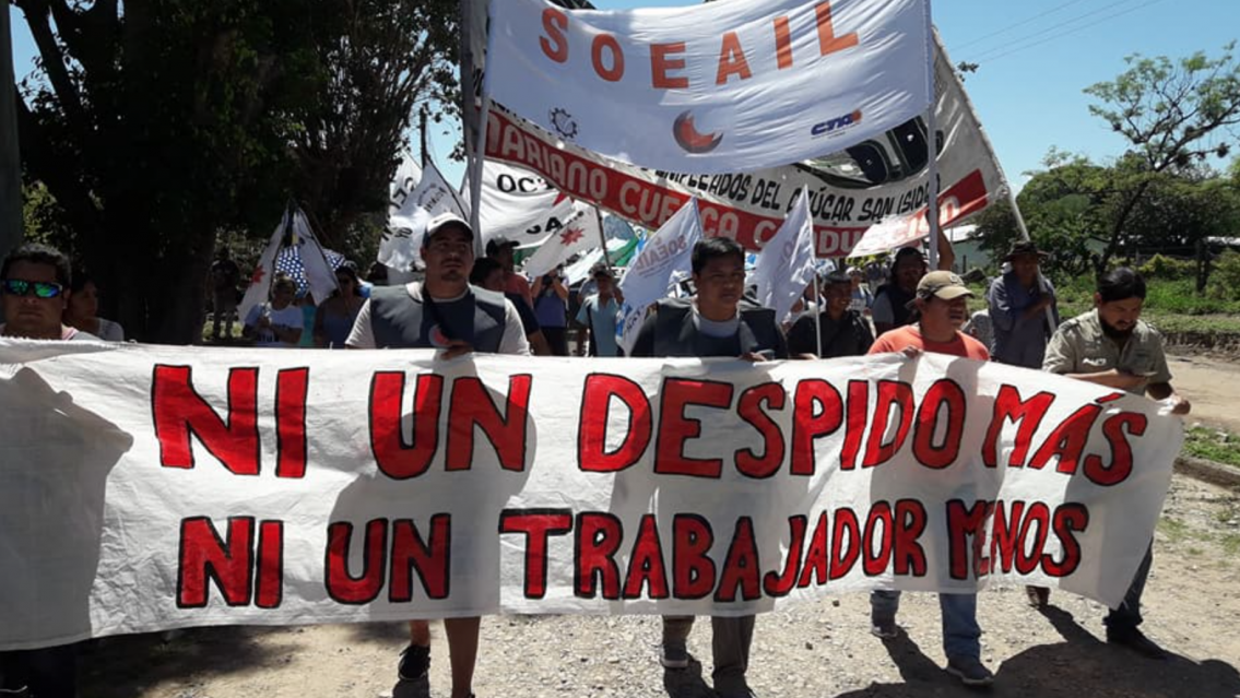 Denuncian despidos masivos del Ingenio Ledesma