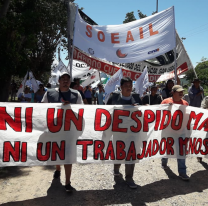 Denuncian despidos masivos del Ingenio Ledesma