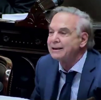 "Eso no tiene nada que ver con Argentina", Miguel &Aacute;ngel Pichetto contra el norte del pa&iacute;s