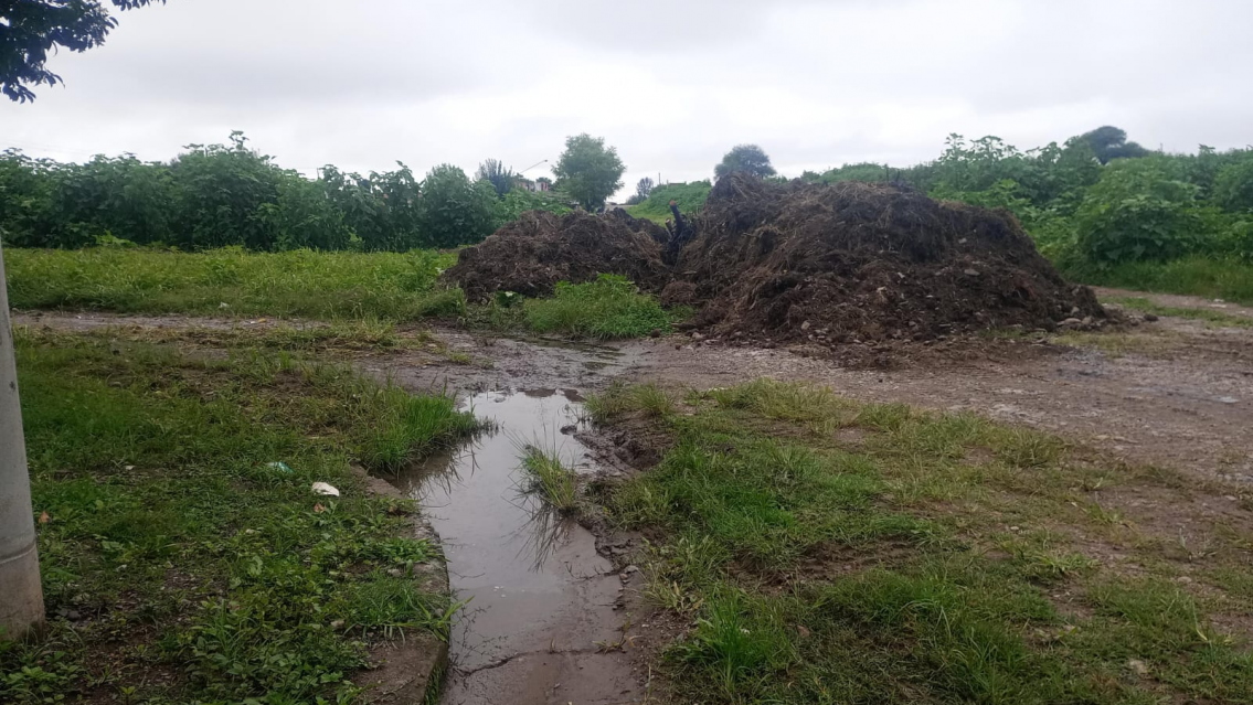Fuerte denuncia contra la Municipalidad de San Salvador por desechos y basura
