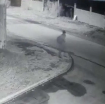 "Es el chico que murió", murmuraron. Las cámaras capturaron a "un alma en pena"