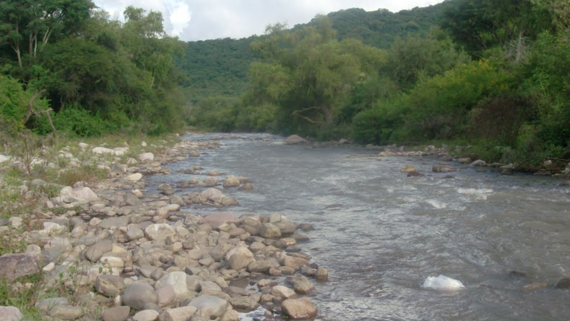 Joven fue arrastrado por un río en Jujuy al intentar rescatar a su mascota