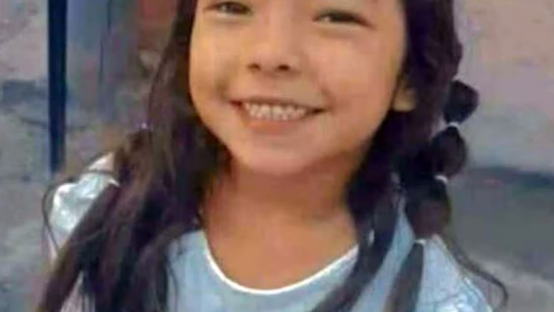 Trasladarán a un hospital psiquiátrico a la mamá de la nena que encontraron muerta