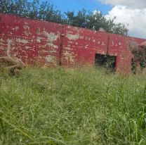 Cansados esperar respuestas un grupo de jujeños se juntó y recuperó una plaza