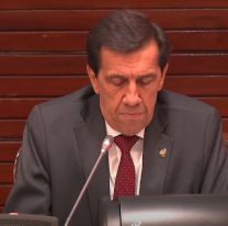 Ley de Coparticipación: el anuncio de Sadir durante la Apertura de Sesiones