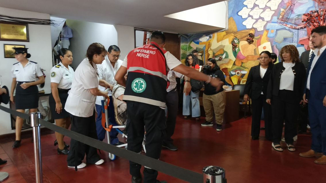 Tensión en la Apertura de Sesiones: entró una señora a los gritos