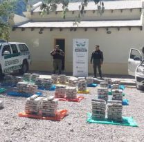 Transportaban casi 400 kilos de hojas de coca por la Ruta 9, quisieron fugarse y fueron detenidos