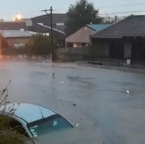 Desesperado pedido de  una familia desde el techo de su casa en  Bah&iacute;a Blanca: "No podemos"