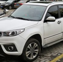 Furor por los autos chinos en Argentina: "son mucho m&aacute;s baratos"