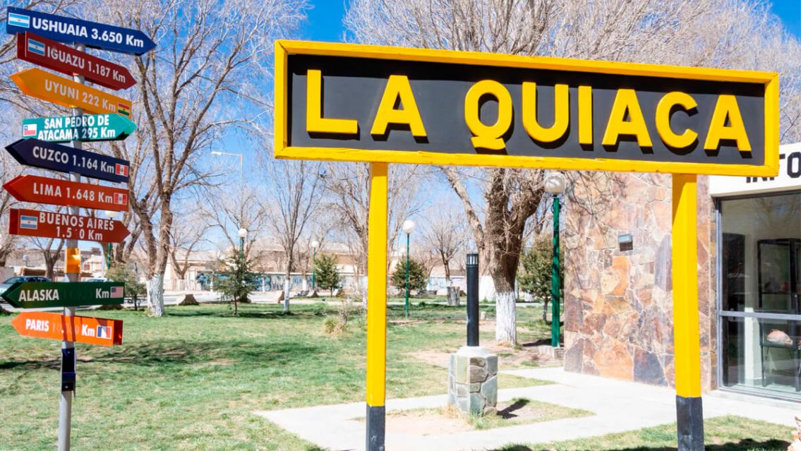 Conmoción en La Quiaca: Mataron al menos 18 perros