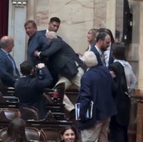 Escándalo total: Diputados Nacionales se agarraron a las piñas en plena sesión