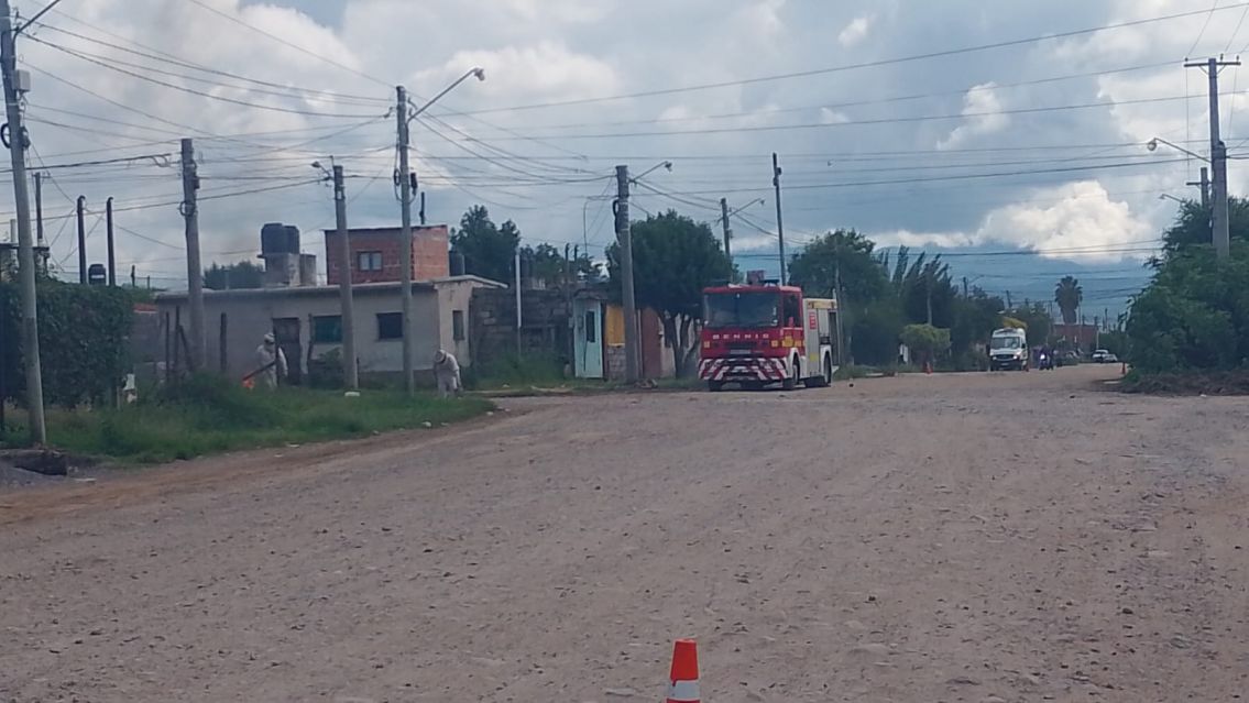 Ataque de abejas en Palpalá: vecinos responsabilizan a la municipalidad por la falta de limpieza