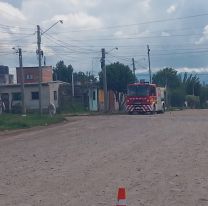 Ataque de abejas en Palpalá: vecinos responsabilizan a la municipalidad por la falta de limpieza