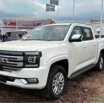 Cuánto salen las camionetas chinas que llegaron al país