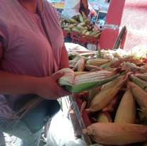 Allá están haciendo humita: el precio del choclo en Jujuy por las nubes