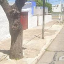 Horror total: jujeña fue asesinada por su pareja policía